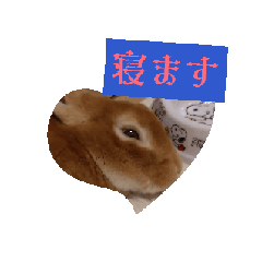 [LINEスタンプ] ジジの日々 JiJisdaily