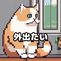 [LINEスタンプ] ぽっちゃりキャットの日常