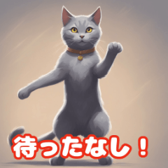 [LINEスタンプ] 猫猫123