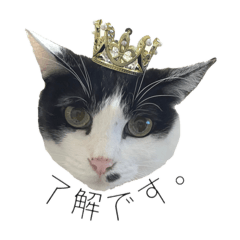 [LINEスタンプ] ケチャとミリンとクロズ