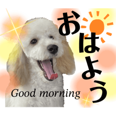 [LINEスタンプ] coro♡coro