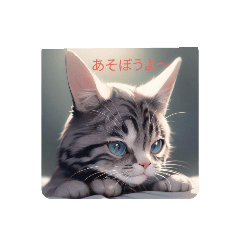 [LINEスタンプ] ネコの挨拶 Cat Greeting Stamps