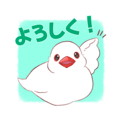 [LINEスタンプ] 尊い！白文鳥のブンちゃんスタンプ