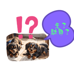 [LINEスタンプ] とりま、犬❣️と思ったら動物色々wNo．1