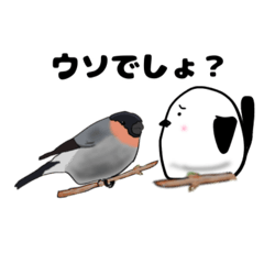 [LINEスタンプ] 日本の野鳥とコマリエナガ