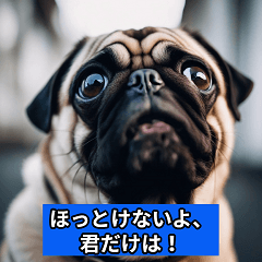 [LINEスタンプ] かわいい子犬たち