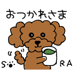 [LINEスタンプ] トイプードル⭐️SORAのきもち