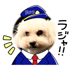 [LINEスタンプ] R看板犬スタンプ