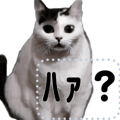 [LINEスタンプ] ⚫AI猫ミーム 24匹セット【セリフ変更可能】