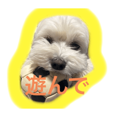 [LINEスタンプ] はんぺんだよ