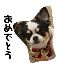 [LINEスタンプ] 犬〜ア二ジジ