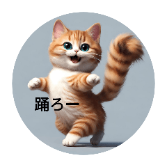 [LINEスタンプ] 猫のやばい日常スタンプ