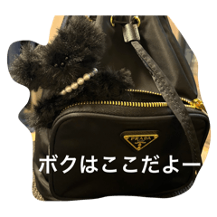 [LINEスタンプ] ボクはここだよー