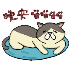 [LINEスタンプ] シュシュとシャオシアの日常談話