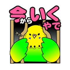 [LINEスタンプ] インコスキー