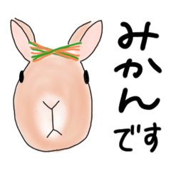 [LINEスタンプ] ミカンです。