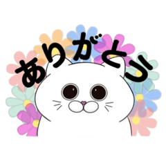 [LINEスタンプ] ぷくぷく猫♡日常