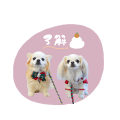 [LINEスタンプ] ♡おもちくん