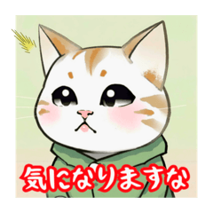 [LINEスタンプ] こねこ達の日常〜よく使う言葉集〜