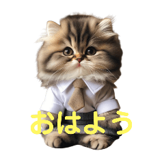 [LINEスタンプ] 可愛い猫ちゃん秘書