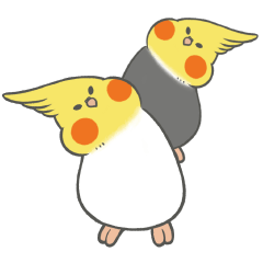 [LINEスタンプ] オカメインコの鳥生活｜鳥のAmbird