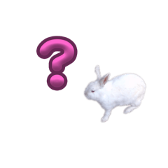 [LINEスタンプ] animal  ？