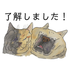 [LINEスタンプ] かもめのいぬねこスタンプ5