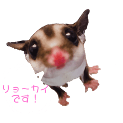 [LINEスタンプ] ふくもも好きのスタンプ