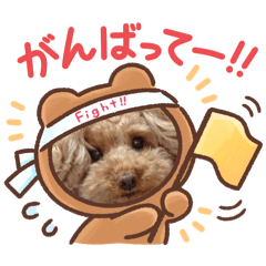 [LINEスタンプ] あずきいろはpart2