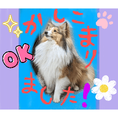 [LINEスタンプ] びすこってぃ⑭