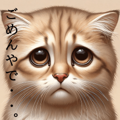 [LINEスタンプ] 表情豊かな猫のステッカー1