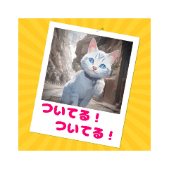 [LINEスタンプ] ポジティブ猫のささやき