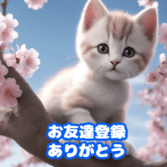 [LINEスタンプ] 桜と子猫