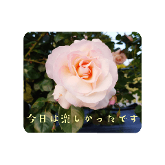 [LINEスタンプ] IN THE ROSE GARDEN -3-