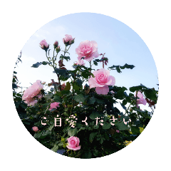 [LINEスタンプ] IN THE ROSE GARDEN -4-