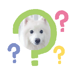 [LINEスタンプ] 日本スピッツ そうすけくん