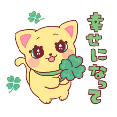 [LINEスタンプ] ネコのからしちゃんと色とりどりな推し活