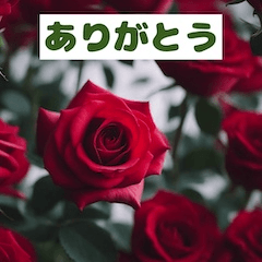 [LINEスタンプ] 華やかな花の世界