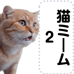 [LINEスタンプ] 猫ミーム詰め合わせセット2【可愛いネタ】