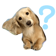 [LINEスタンプ] のあです♪