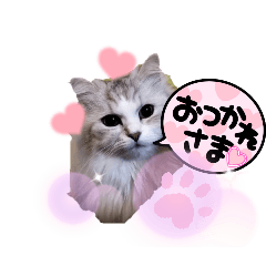 [LINEスタンプ] シフォン＆レオン