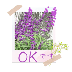 [LINEスタンプ] お花の毎日敬語stamp