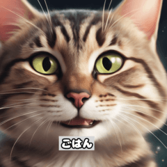 [LINEスタンプ] キジトラの猫のかわいい表情
