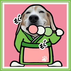 [LINEスタンプ] ビーグル犬ポップアップ(春)