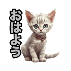 [LINEスタンプ] 可愛い子猫の気持ちの答え！の画像（メイン）