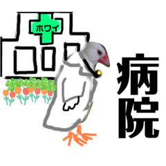 [LINEスタンプ] 桜文鳥わすけホワイティーのご予定【改訂版