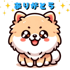 [LINEスタンプ] 可愛いポメラニアンの挨拶スタンプ