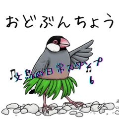 [LINEスタンプ] 文鳥の日常スタンプ 6 by oishiano