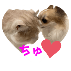 [LINEスタンプ] リツとララ2の画像（メイン）