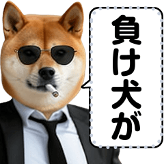 [LINEスタンプ] 柴犬ミームスタンプ【面白い・犬・可愛い】